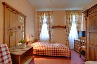 Отель Hotel Magnes Шклярска-Поремба Небольшой двухместный номер с 1 кроватью или 2 отдельными кроватями-1
